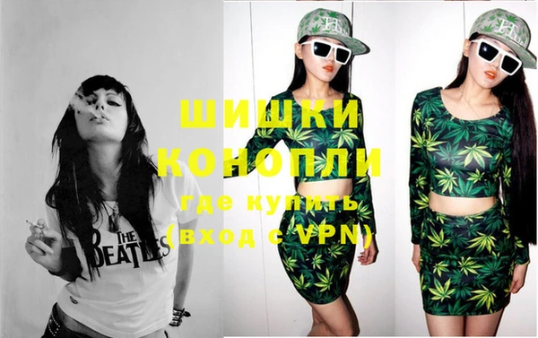 тгк Новозыбков