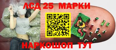 гидропоника Жуковский