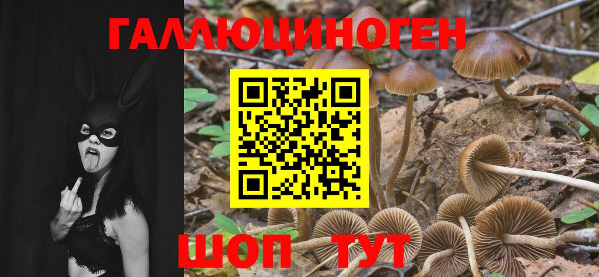 Прохладный  Галлюциногенные грибы Psilocybine cubensis  Галлюциногенные грибы MAGIC MUSHROOMS  Вход с VPN 