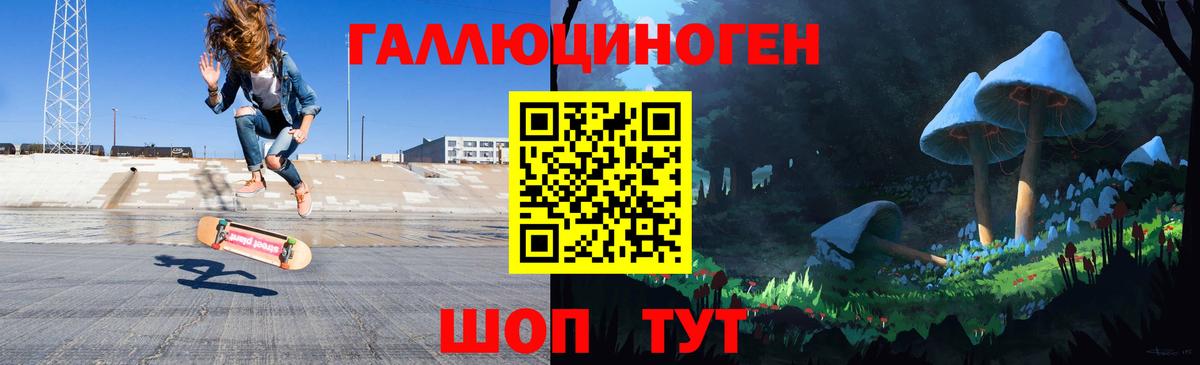 Псилоцибиновые грибы Cubensis Прохладный