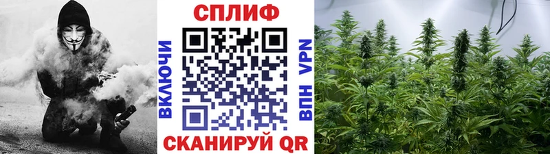 наркотики  Прохладный  MEGA зеркало  Бошки Шишки THC 21% 